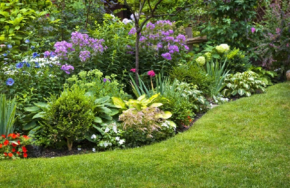 serv3-gardening